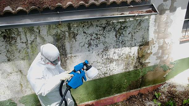 Top rated local Mold Remediation specialists in Clearfield, PA
